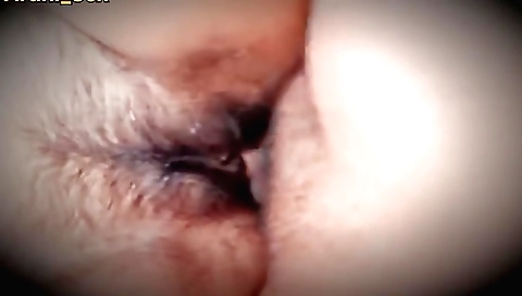 Amateur porn video shows a hairy girl getting fucked